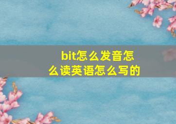 bit怎么发音怎么读英语怎么写的