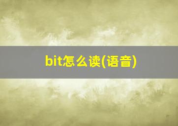 bit怎么读(语音)