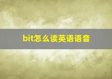 bit怎么读英语语音