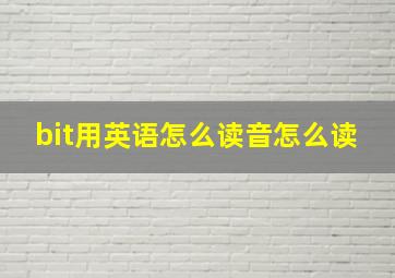 bit用英语怎么读音怎么读