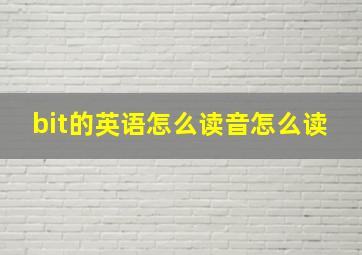 bit的英语怎么读音怎么读