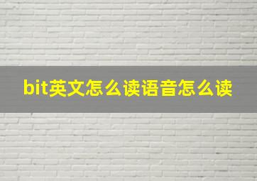 bit英文怎么读语音怎么读