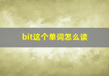 bit这个单词怎么读