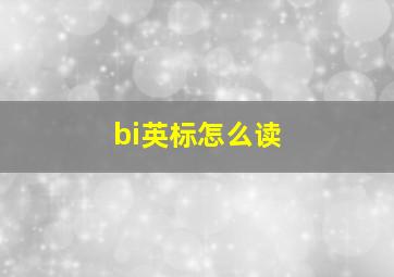 bi英标怎么读