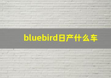 bluebird日产什么车