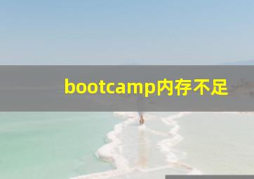 bootcamp内存不足