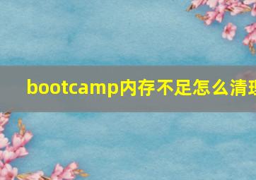 bootcamp内存不足怎么清理