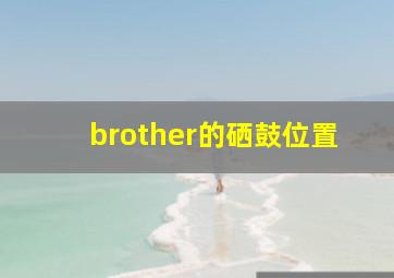 brother的硒鼓位置