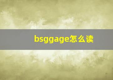 bsggage怎么读