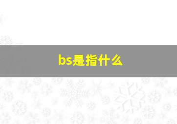 bs是指什么