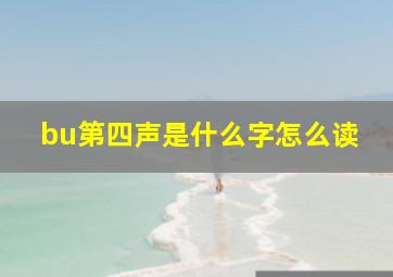 bu第四声是什么字怎么读