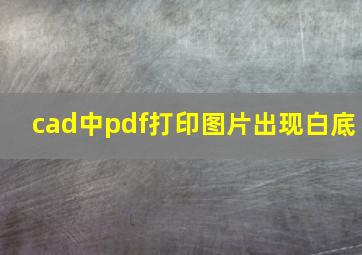 cad中pdf打印图片出现白底