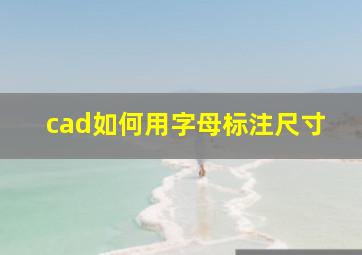 cad如何用字母标注尺寸