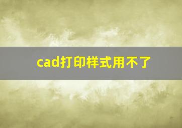 cad打印样式用不了