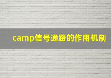 camp信号通路的作用机制