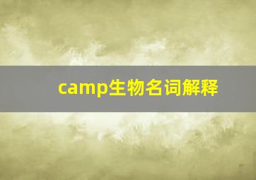 camp生物名词解释