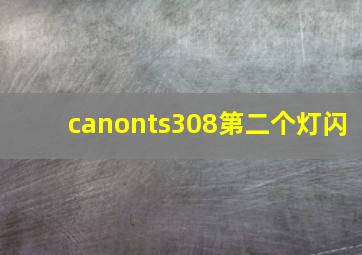 canonts308第二个灯闪