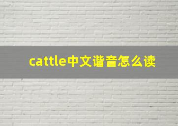 cattle中文谐音怎么读