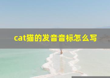 cat猫的发音音标怎么写