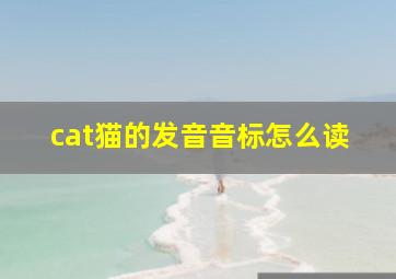 cat猫的发音音标怎么读