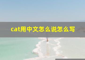 cat用中文怎么说怎么写