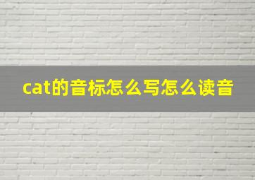 cat的音标怎么写怎么读音