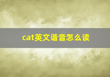 cat英文谐音怎么读