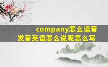 company怎么读音发音英语怎么说呢怎么写