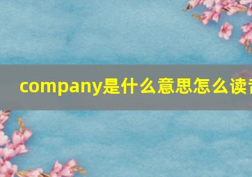 company是什么意思怎么读音