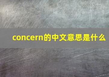 concern的中文意思是什么