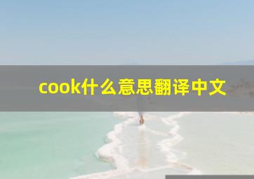 cook什么意思翻译中文