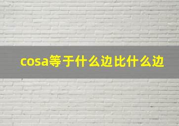 cosa等于什么边比什么边