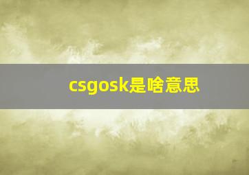 csgosk是啥意思