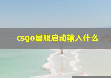 csgo国服启动输入什么