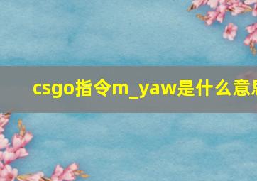 csgo指令m_yaw是什么意思