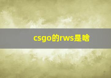 csgo的rws是啥