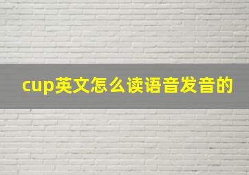 cup英文怎么读语音发音的