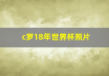 c罗18年世界杯照片