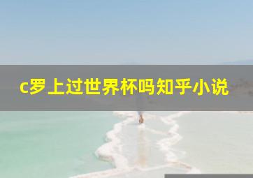 c罗上过世界杯吗知乎小说