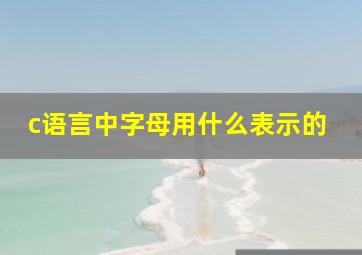 c语言中字母用什么表示的