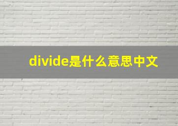 divide是什么意思中文