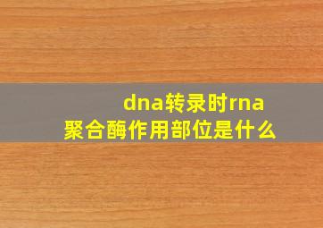 dna转录时rna聚合酶作用部位是什么