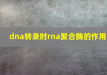 dna转录时rna聚合酶的作用