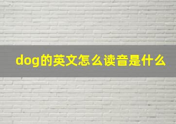 dog的英文怎么读音是什么