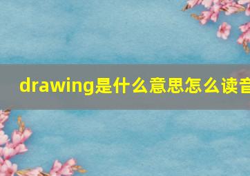 drawing是什么意思怎么读音