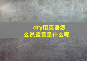 dry用英语怎么说读音是什么呢