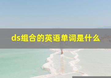 ds组合的英语单词是什么