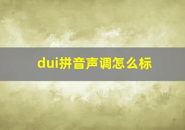 dui拼音声调怎么标