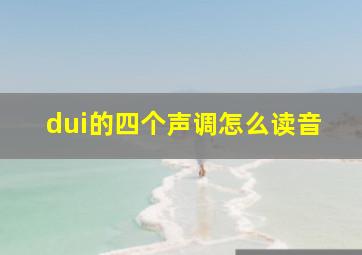 dui的四个声调怎么读音