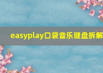 easyplay口袋音乐键盘拆解